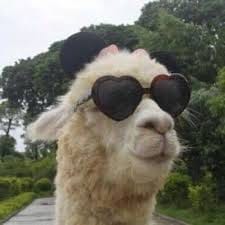 Bhavna Menon avatar